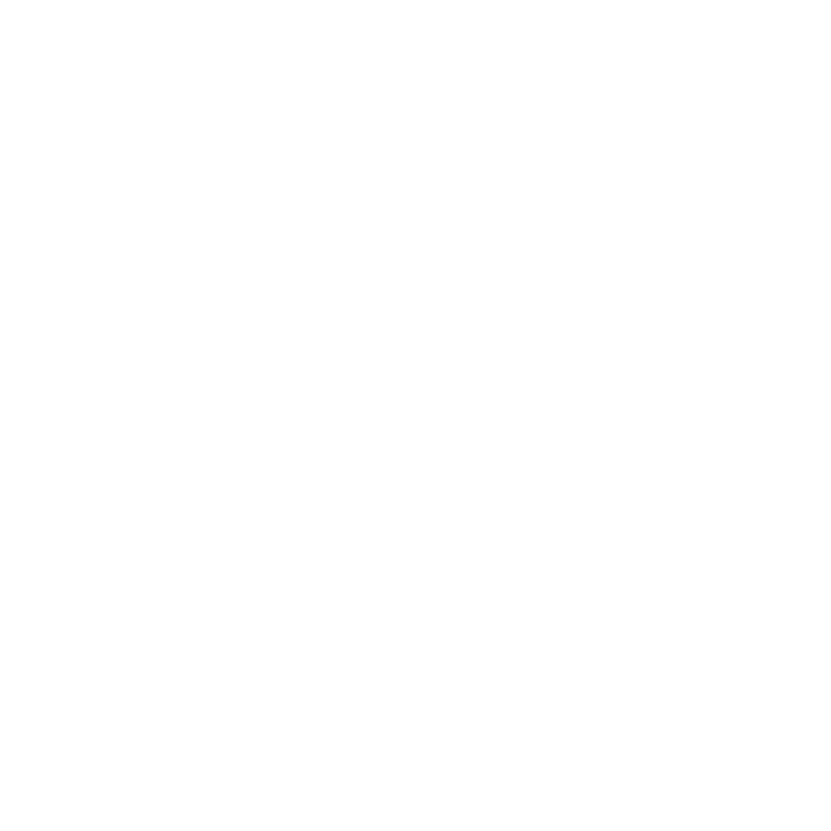 Logo blanc de Nelly Sébastien, coach de vie spécialisée dans l’accompagnement des femmes face aux galères du quotidien.